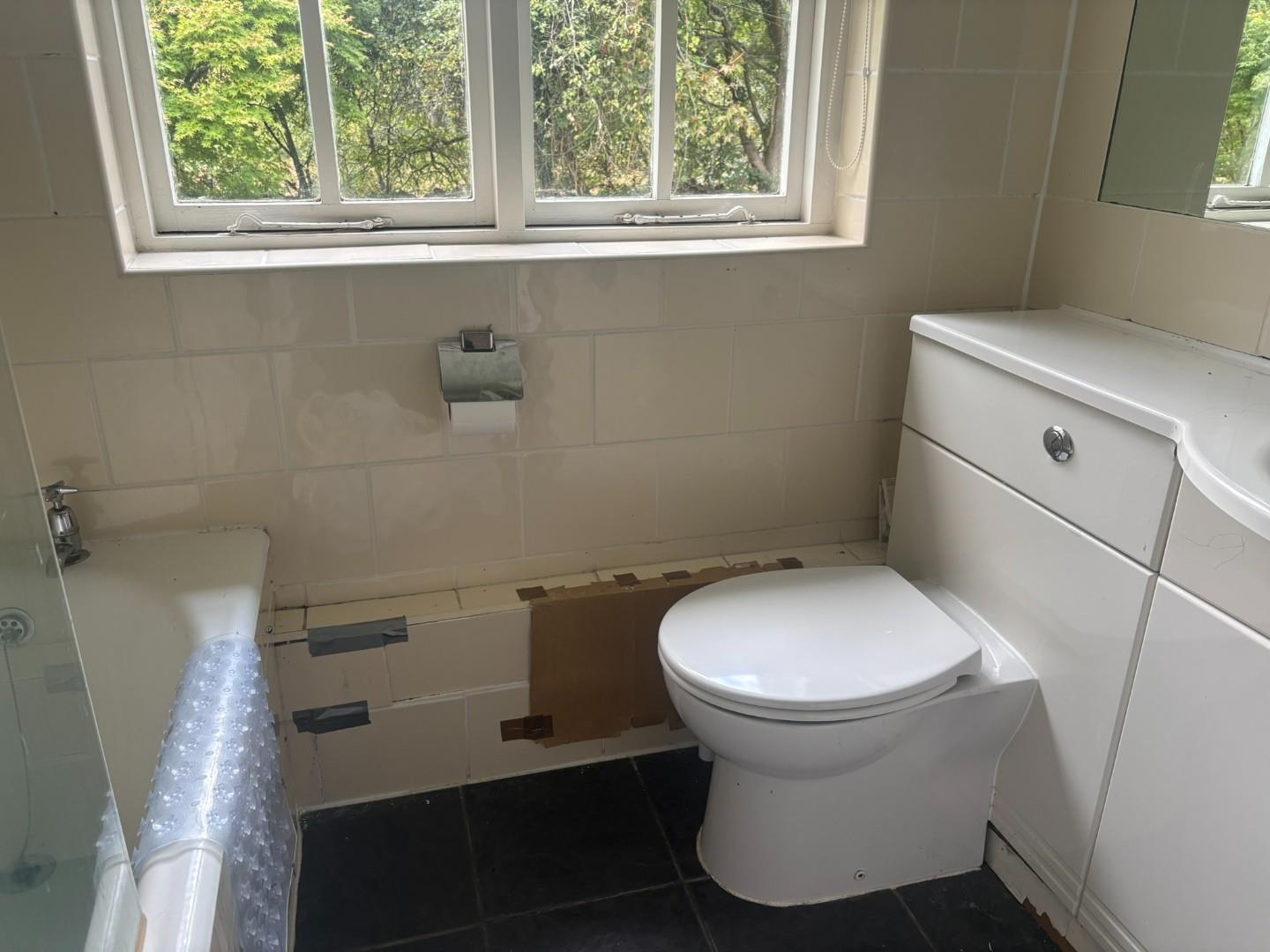 Ty Nesaf - Bathroom.JPEG